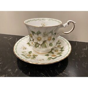 Vintage Rosina Queen's Special Flower Christmas Rose Cup and Saucer England